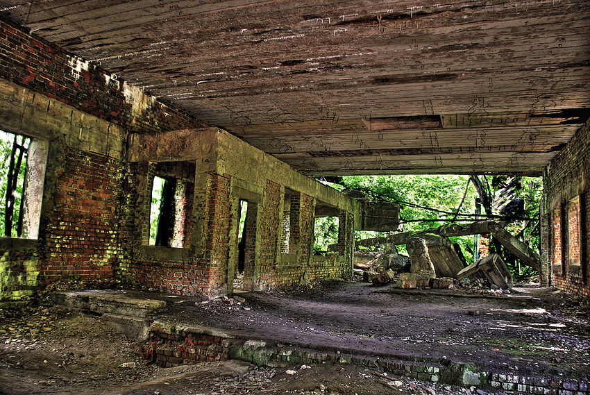 Das Zyklopennest : Die Wolfsschanze