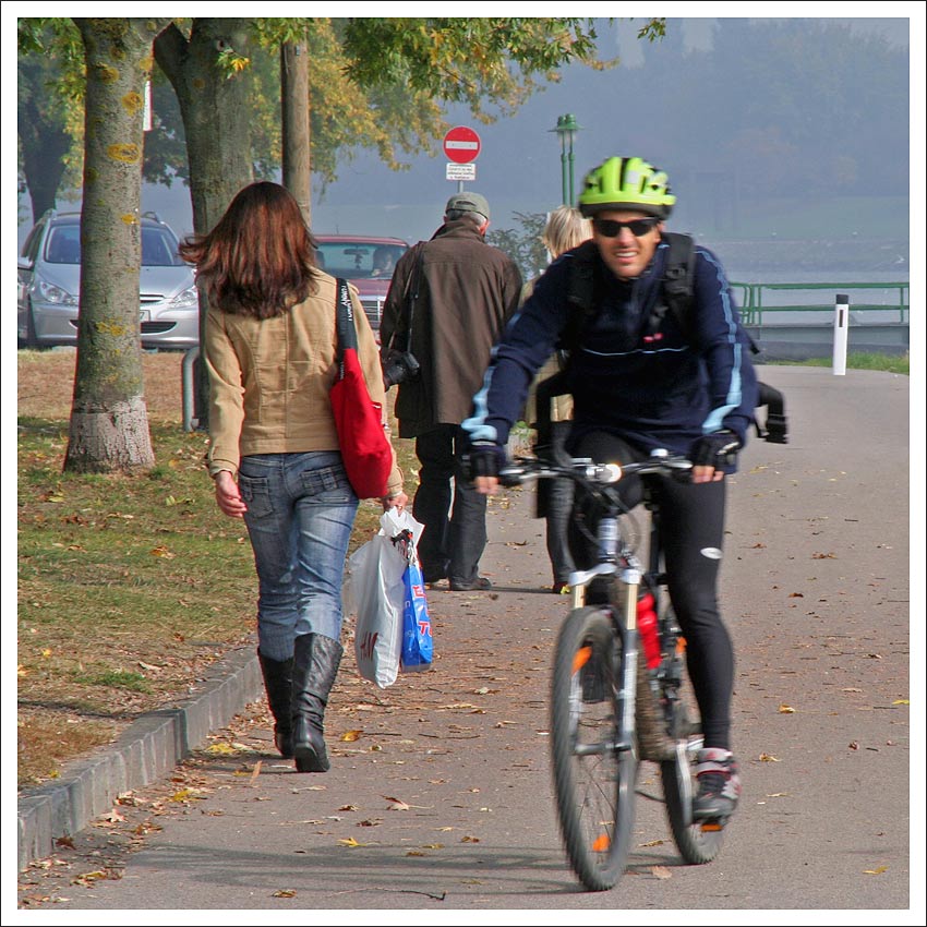 das"derRadsportlerhatvorlauterEiferkeinenBlickfürSchönheitenübrig"-Quadrat