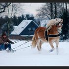 dashing through the snow