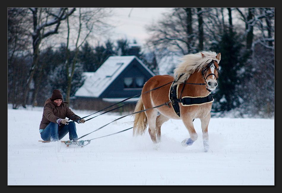 dashing through the snow