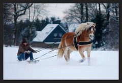 dashing through the snow