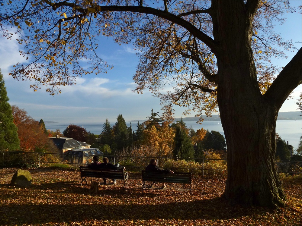 Dass der Herbst so schön sein kann