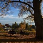 Dass der Herbst so schön sein kann