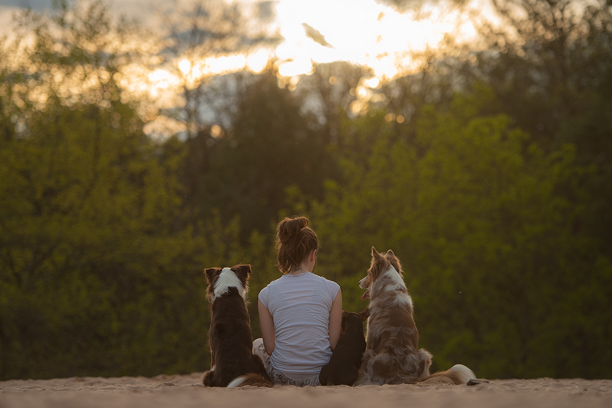 Daß mir der Hund das Liebste sei, Foto & Bild tiere, haustiere, hunde