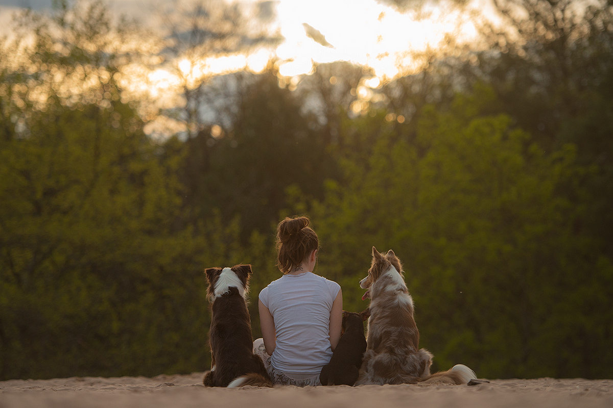 Daß mir der Hund das Liebste sei, 