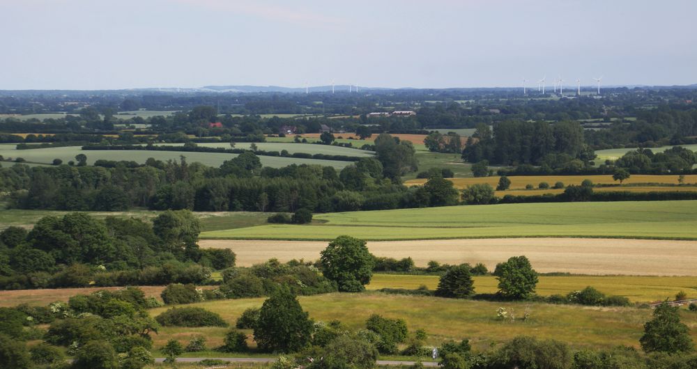 dat is min schleswig holstein