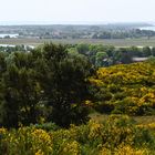 „Dat söte Länneken“ Hiddensee,  umarmt von der Ostsee und Bodden