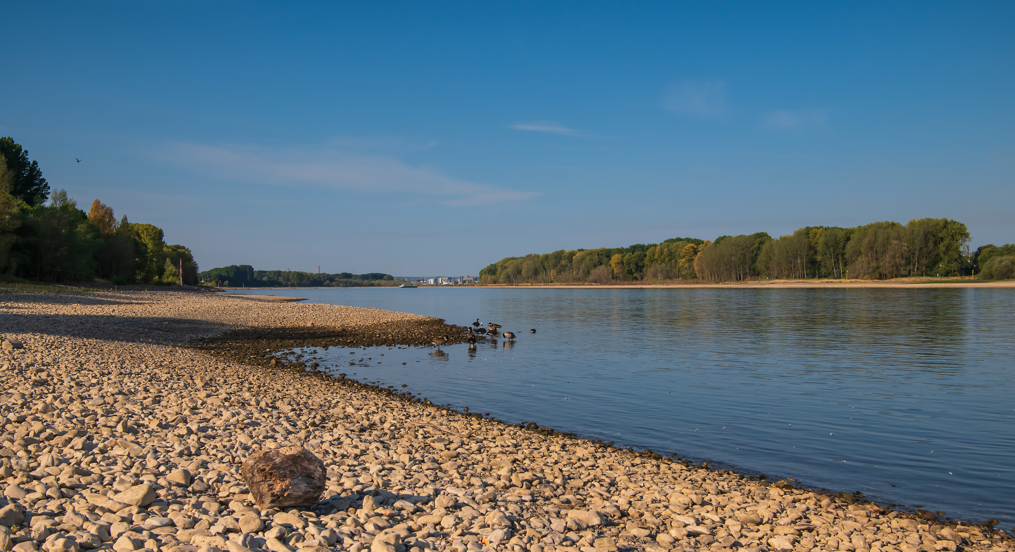 Dat Wasser vun Kölle es fott (2.) 