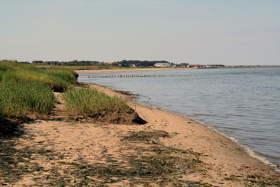 dat wattenmeer - mein lieblingsspielplatz