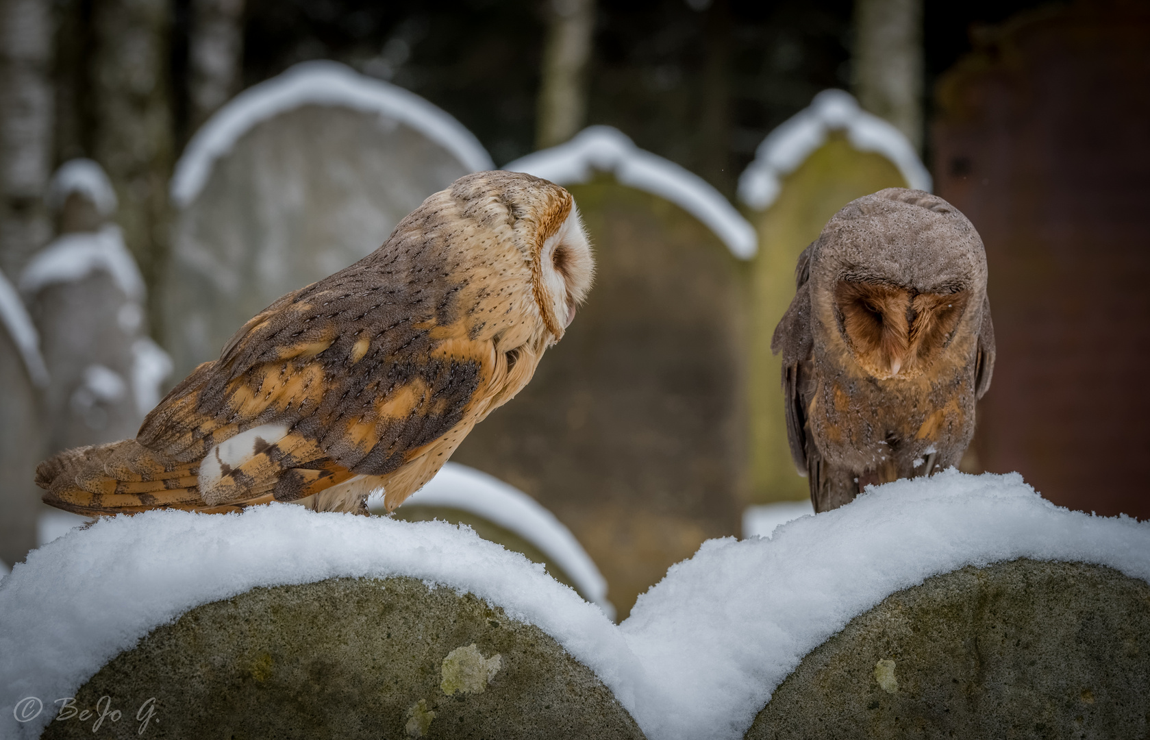 Date auf dem Friedhof. 