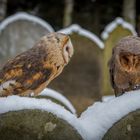 Date auf dem Friedhof. 