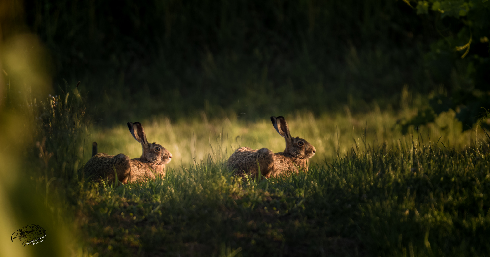 °°°°Date in der Abendsonne°°°°