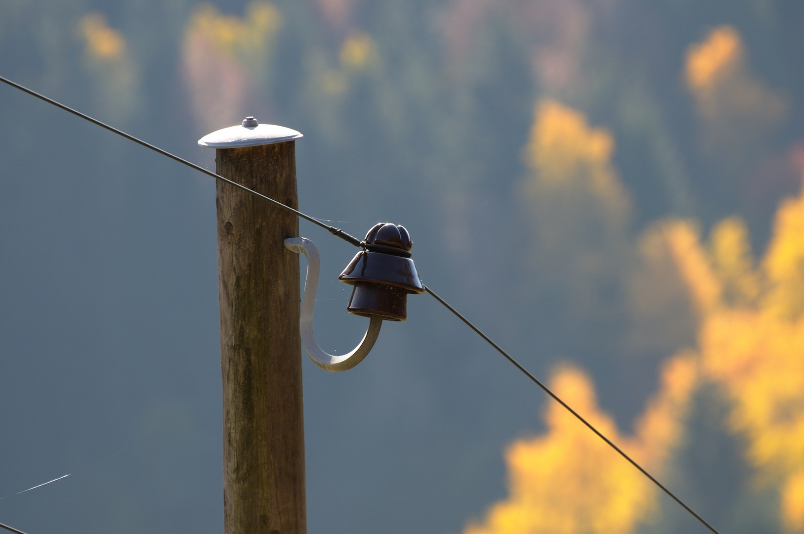 Datentransport auf der Alp....