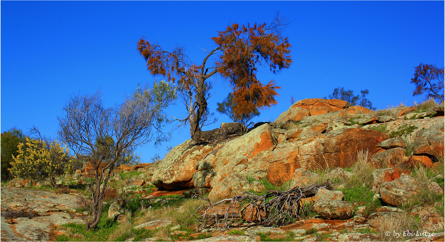 ** Datjoin Well and Rock Reserve / Brockman's Hide Out ** 