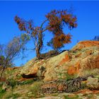 ** Datjoin Well and Rock Reserve / Brockman's Hide Out ** 