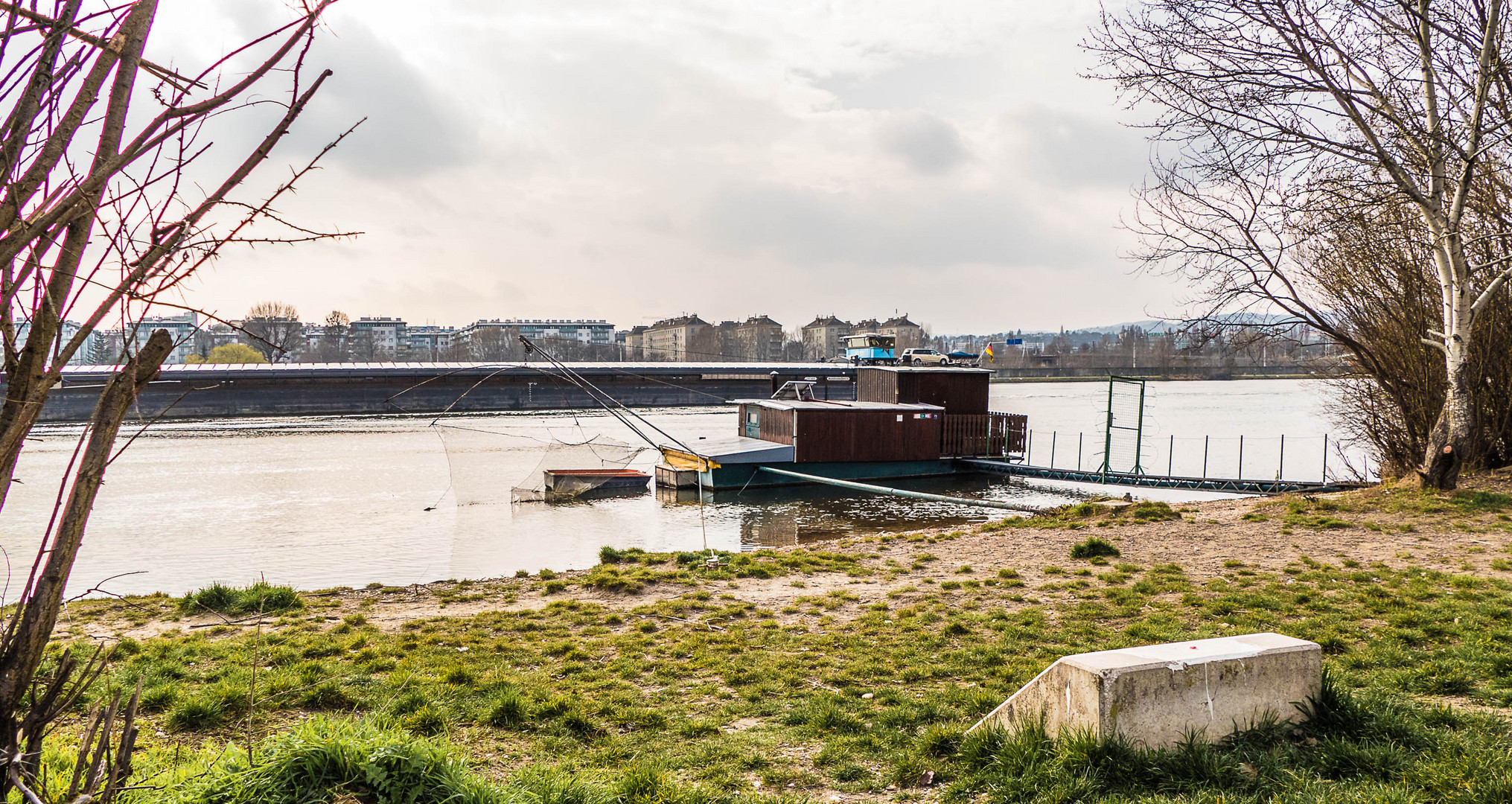 Daubelfischer am linken Donauufer oberhalb der Floridsdorfer Brücke