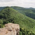 Dauernd Wald und nirgends....