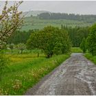 Dauerregen (lluvia continua)