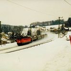 Dauerschneefall ... Alltägliches vor Äonen