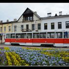 Daugavpils (Lettland) – Russische Straßenbahnatmosphäre -3