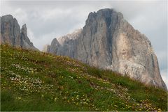 Daumen hoch für Berge und Blumen