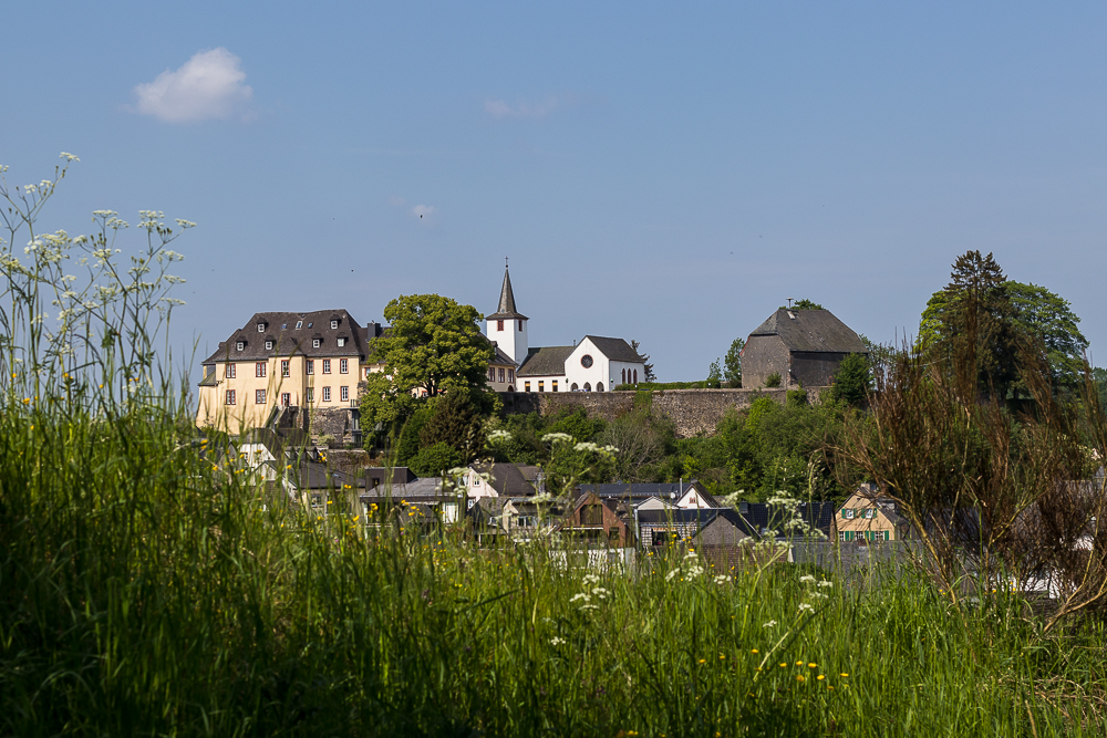 Daun Foto & Bild deutschland, europe, rheinlandpfalz Bilder auf