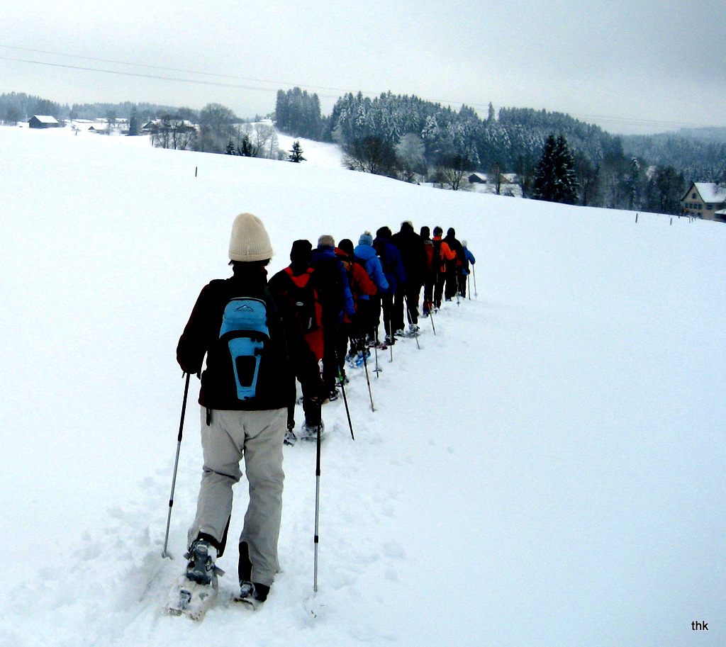 DAV Schneeschuhwandern auf der Adelegg