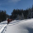 DAV Schneeschuhwandern in Kreuzthal