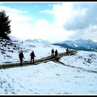 DAV-Wanderung am Forggensee: Senkele und Seeg