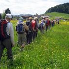 DAV Wangen wandert durch die Engenlochschlucht (Bregenzer Wald)