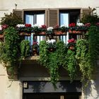 Davanzale di un terrazzino Piazza Navona Roma