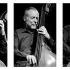 Dave Holland