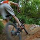 Dave Moffatt, Northside Trail, James River Park System