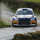 David Bogie - Circuit of Ireland Rally 2016