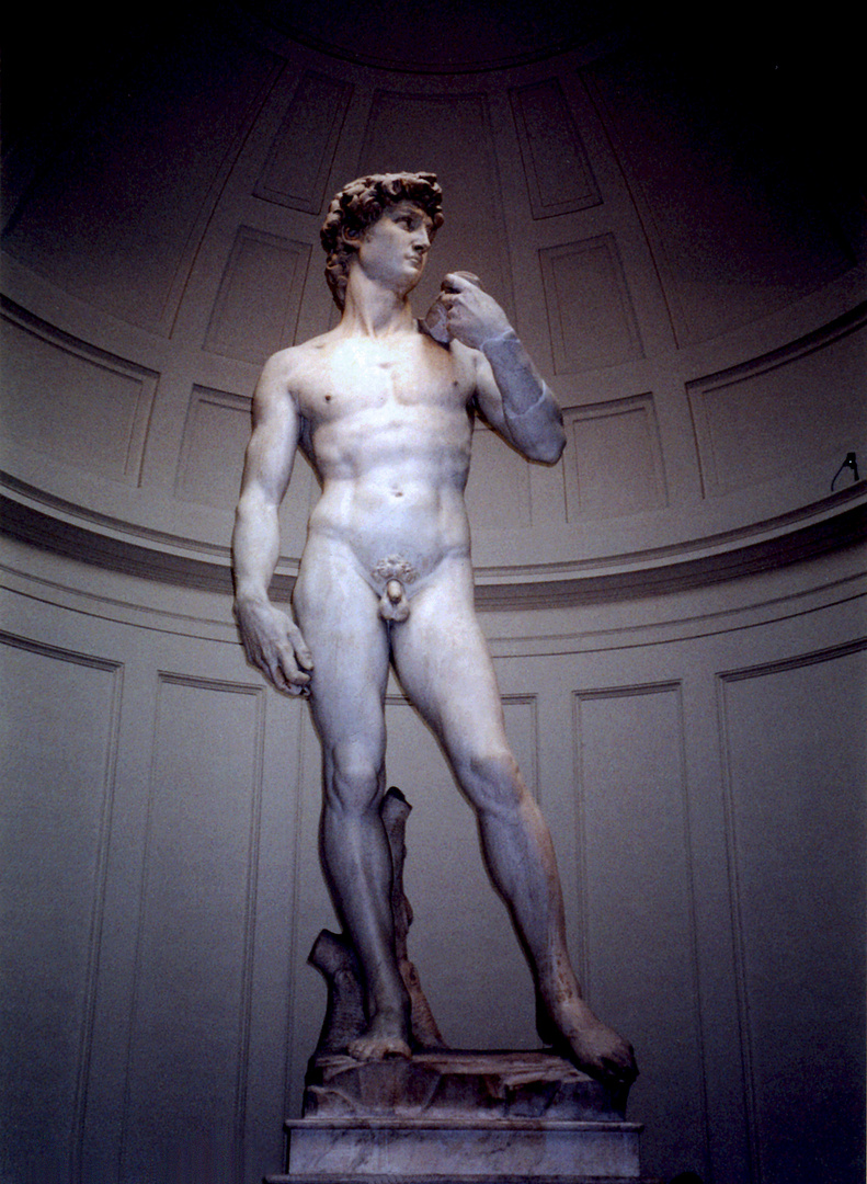 David by Michelangelo, Accademia di Belle Arti, Florence