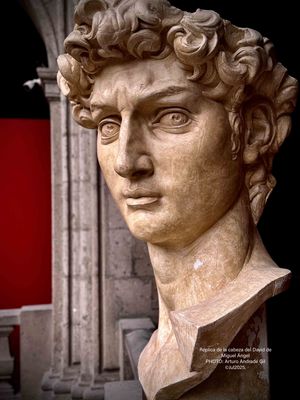 David de Miguel Ángel (réplica de la cabeza)