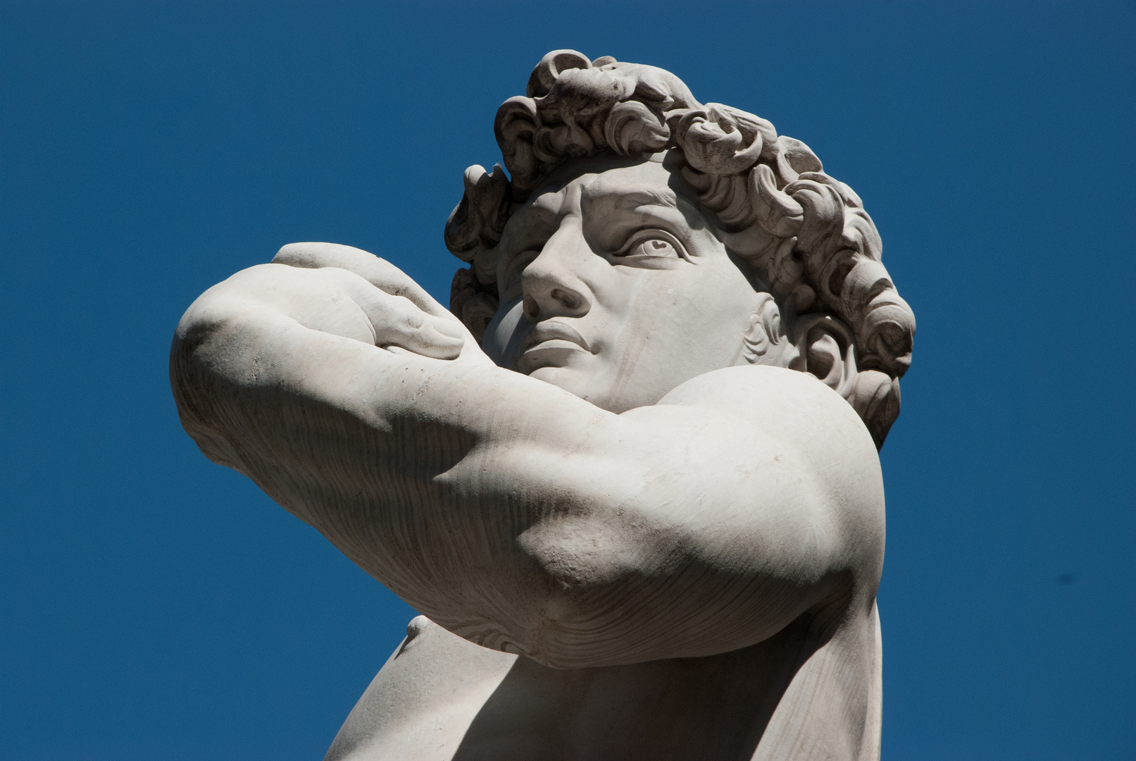 david di michelangelo