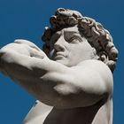 david di michelangelo