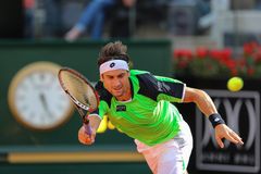 David Ferrer