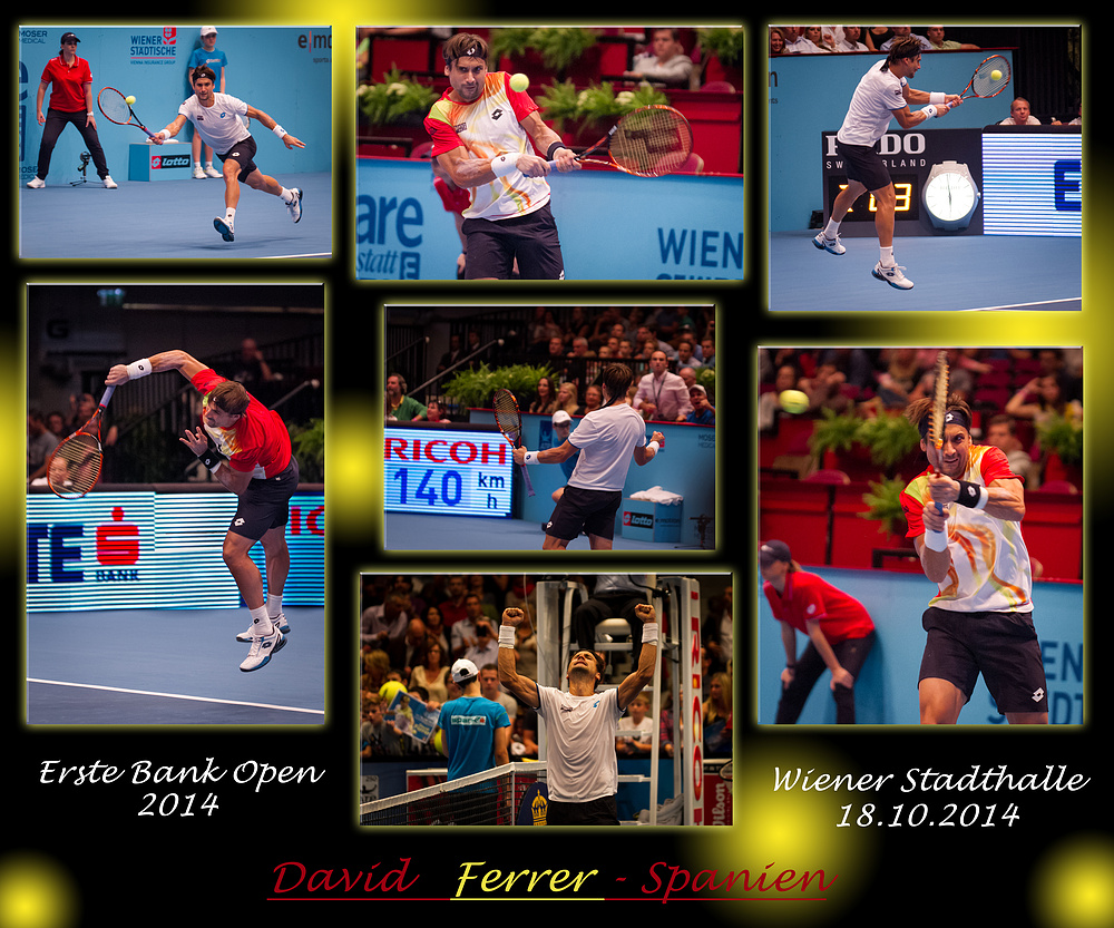 David Ferrer_Collage