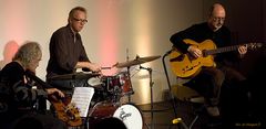 David Friesen Trio