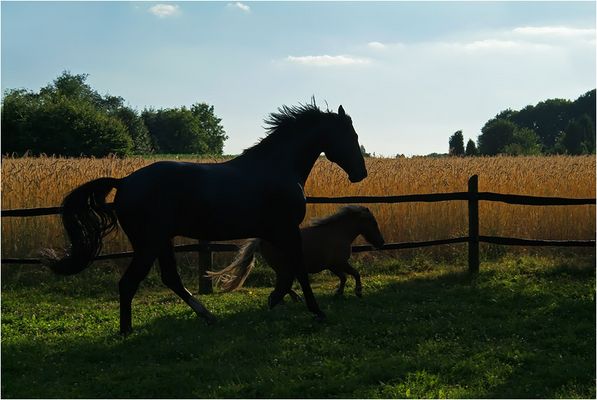 » David und Goliath «