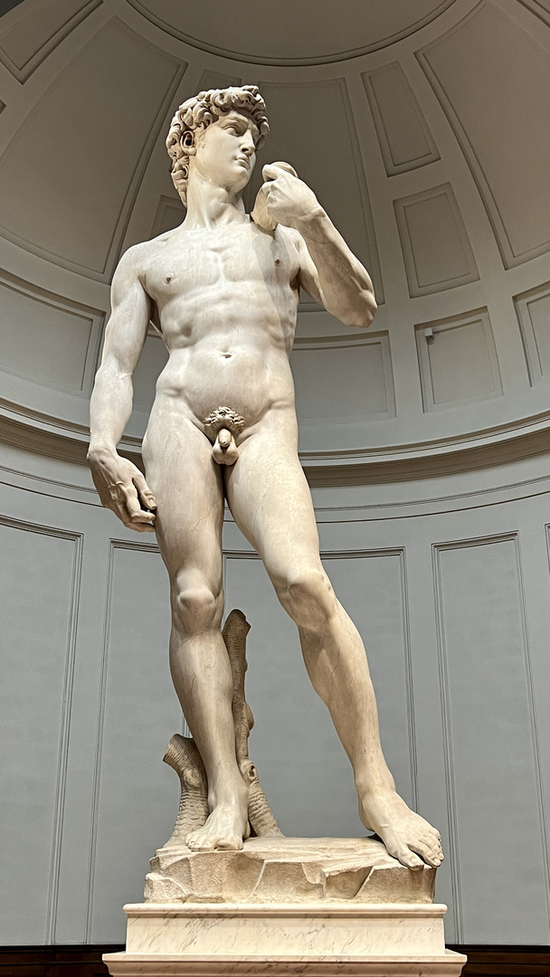 David von Michelangelo