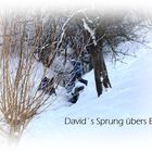 David`s Sprung übers Bacherl