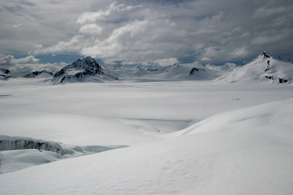 Davidson-Gletscher, Südostalaska von Andy Stock 