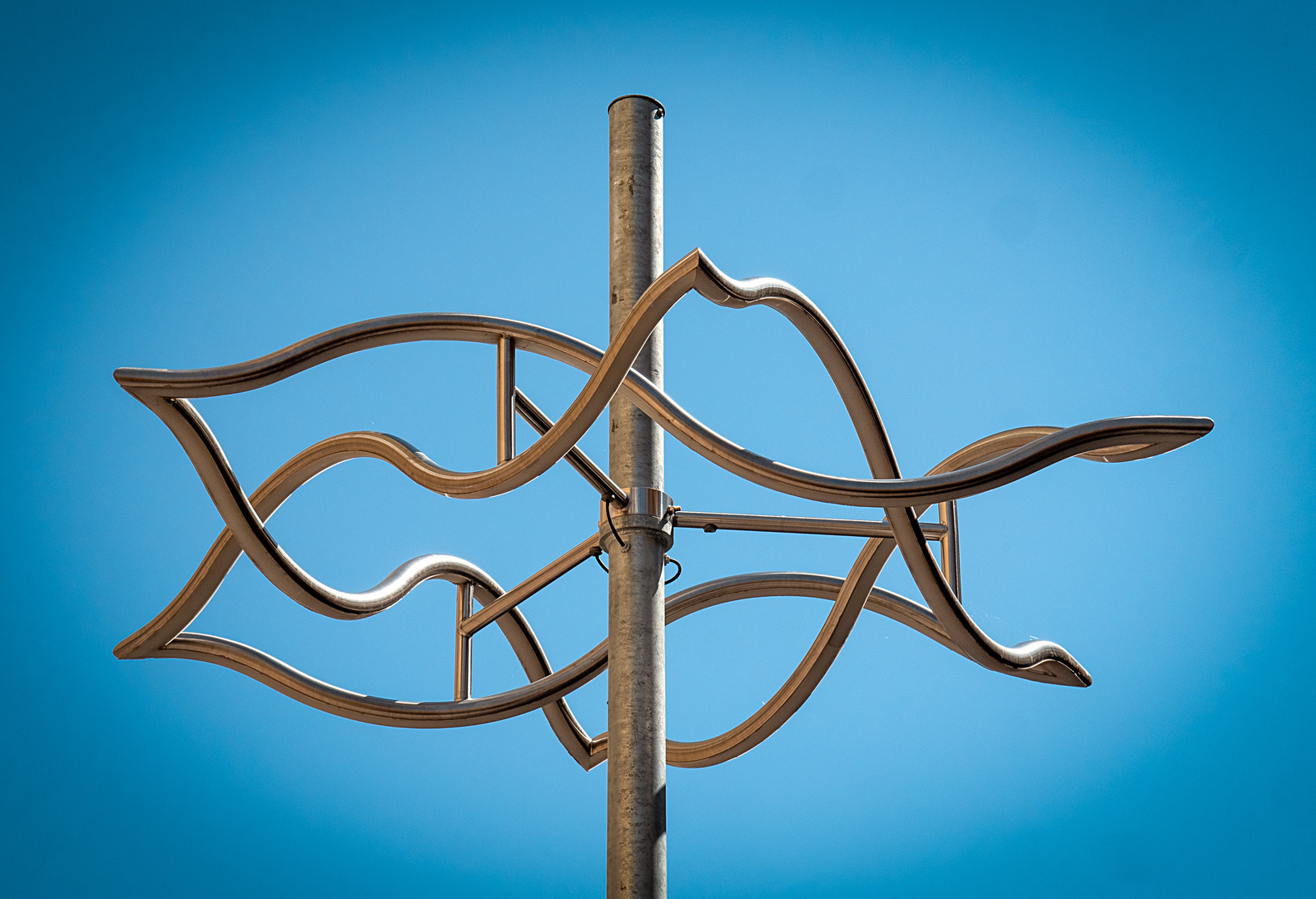 davidstern Foto & Bild world, spezial, dokumentation Bilder auf