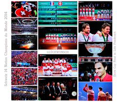 Davis Cup Final in Lille Frankreich