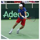 Davis Cup - Tomas Berdych´s backhand