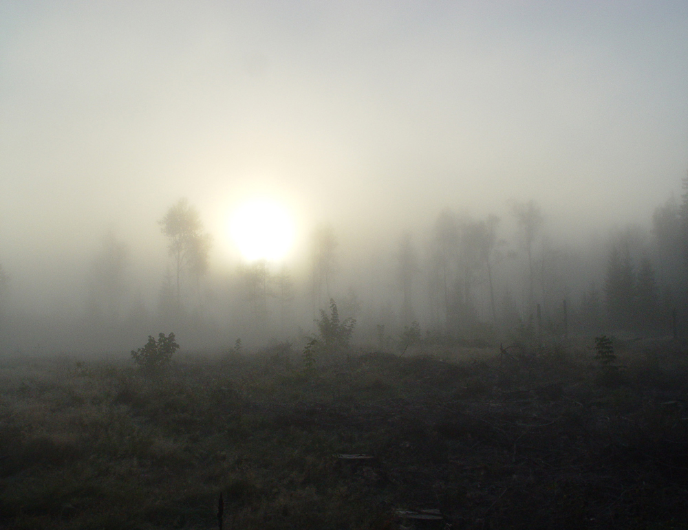 Dawn at Kyrkheden