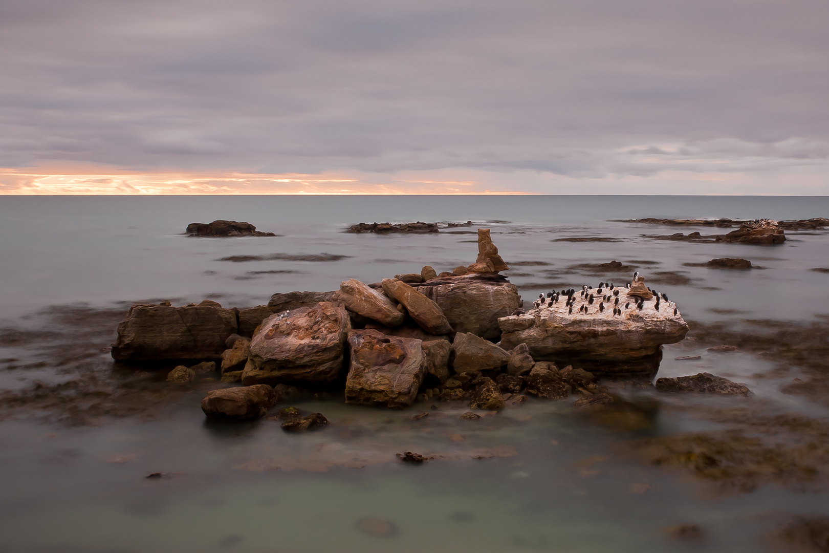 Dawn at Shag Point